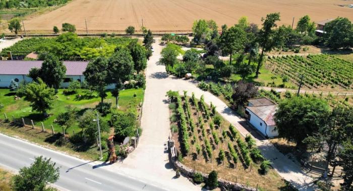 Domeniile Clos des Colombes