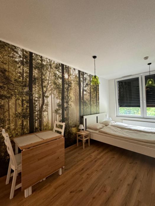 Krumlovský Vltavín