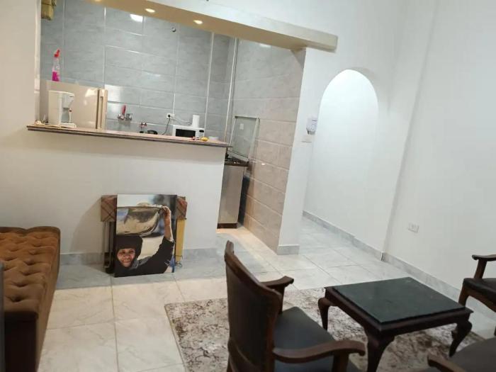 شقة أنيقة في وسط المدينة