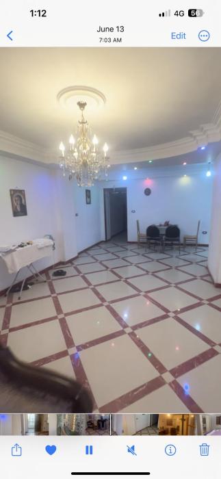 عذراء الزيتون