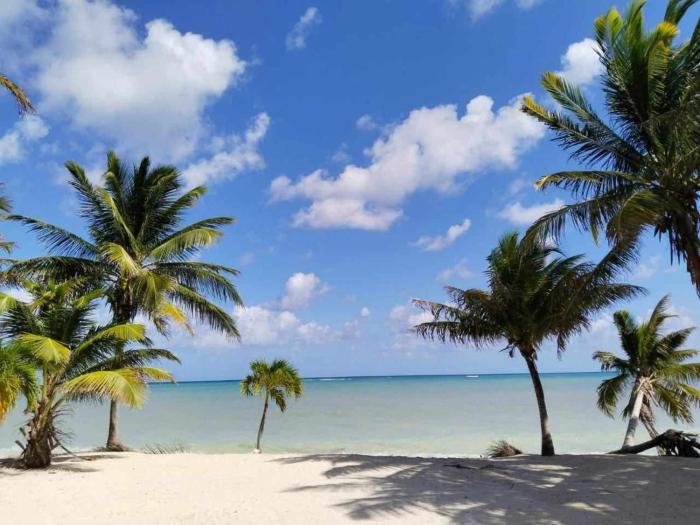 Departamento Frente al Mar