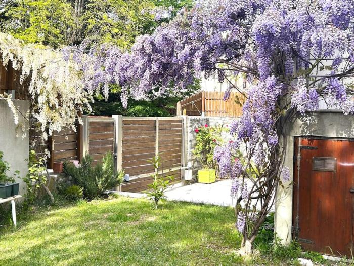 Monolocale con giardino