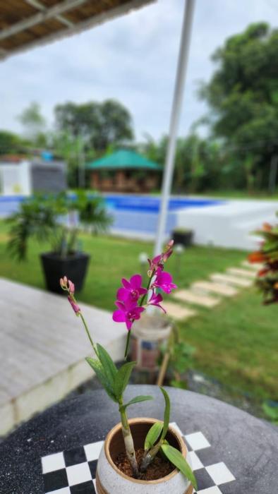 Benido Farm - A Secret Haven