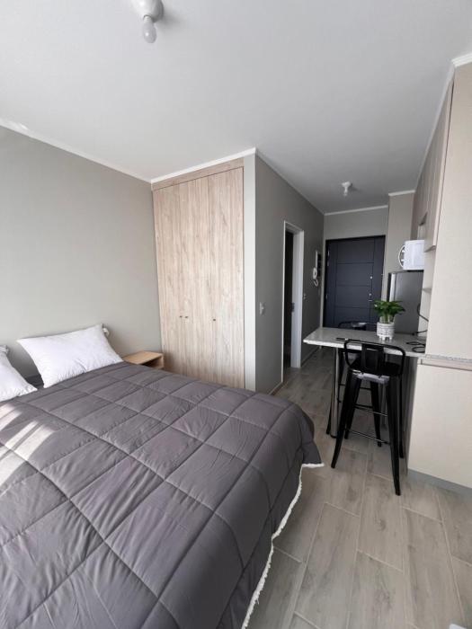 Departamento Estudio, Pitrufquén