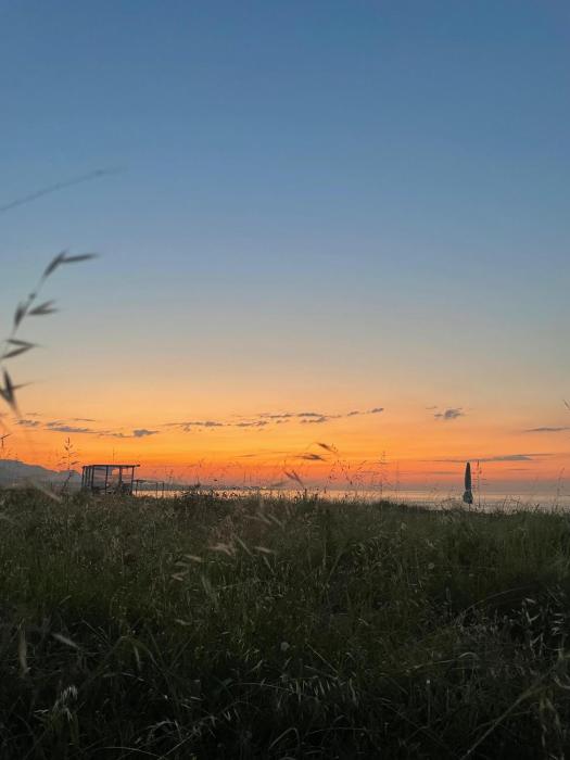 Ünye Kavaklar Holiday Houses