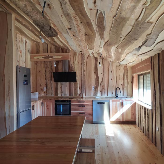 O soño das árbores