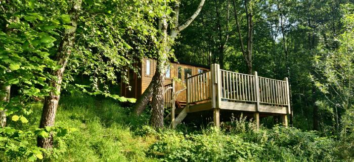 Pikes Cabin in the Woods