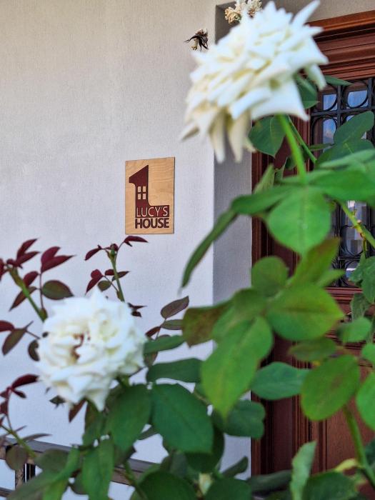 Lucys cozy house in the castle