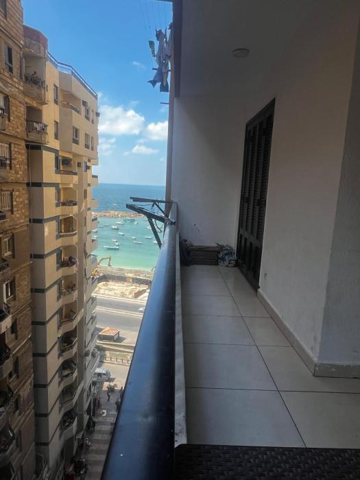 ميامي علي البحر الاسكندريه