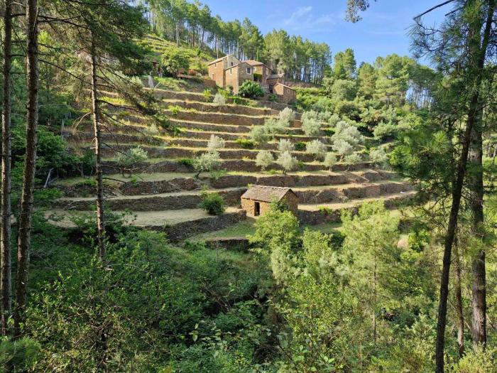 Les Combres, gîte tout confort, climatisé, full équipé avec piscine chauffée