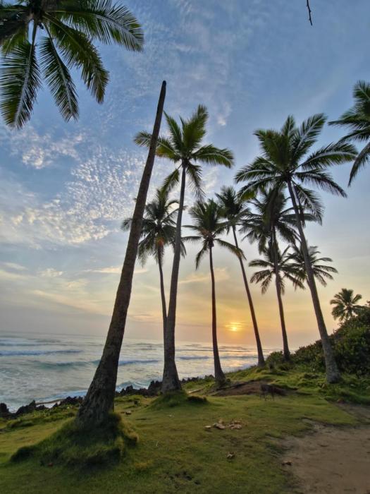 2BR apartment Residencial Aris, Encuentro