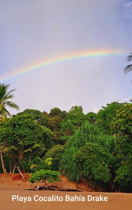 Vista Alta Ecolodge Bahia Drake
