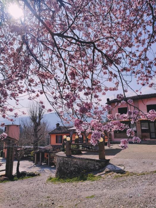 Nuovo Agriturismo Villa Enrichetta