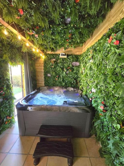 Maison Duplex spa et piscine