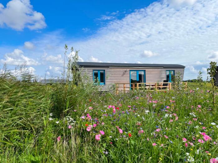 Schäferwagen Tiny House auf dem Friesenhof