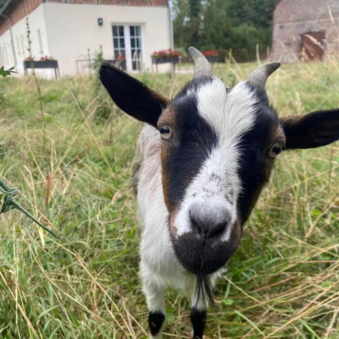 Le loft dAdrien, une ode à la doucEure, classé 3 étoiles