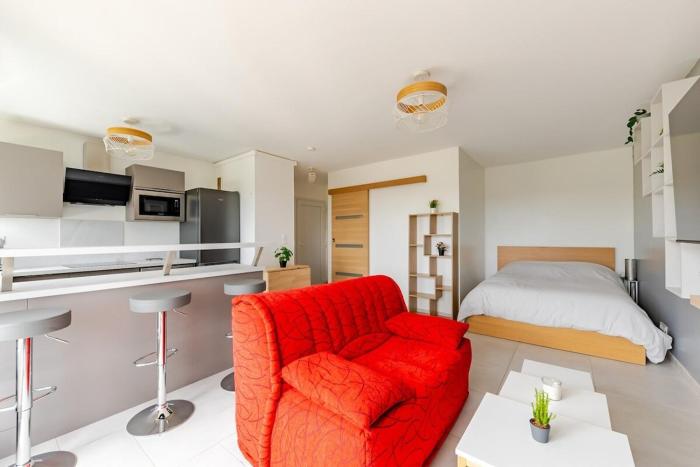 Appartement 1 pièce très chaleureux