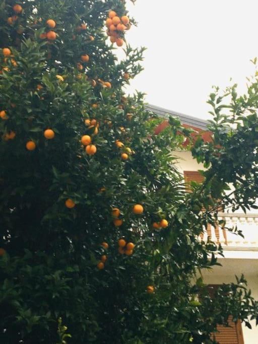 Charmante maison de ville dans quartier historique