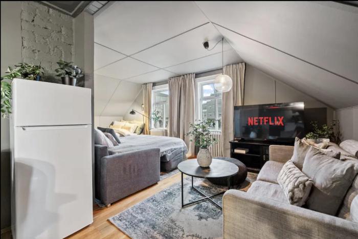 Cultural Gem in the Heart of Central Reykjavík