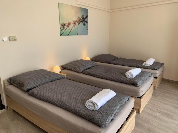 Silver Shine Apartman