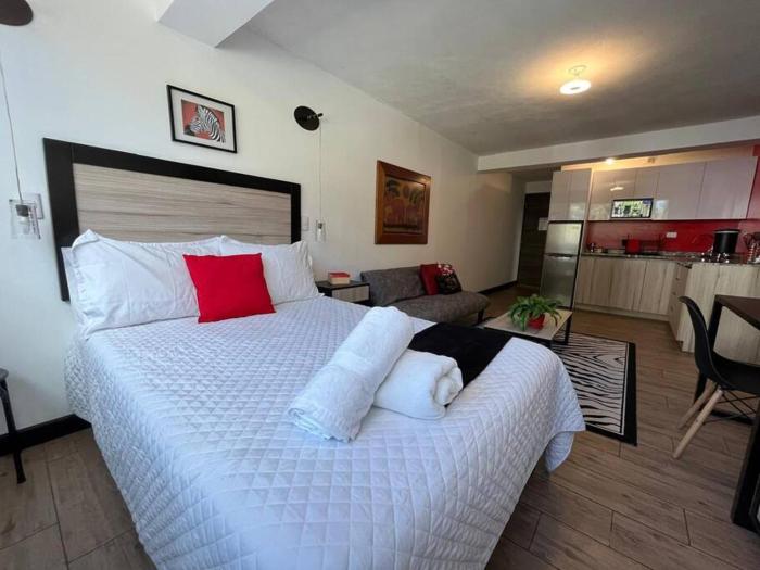 DST3 Complete studio in zone 15