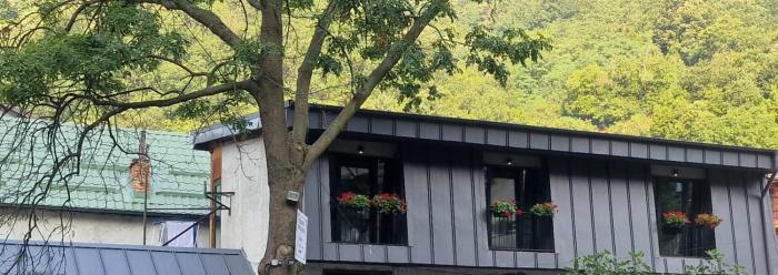 Pensiunea Casa Dimitrios-Baile Herculane -Casă Boemă cu vedere la munte apă atmosferă intimă