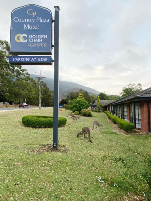 Golden Chain Country Plaza Motel Halls Gap
