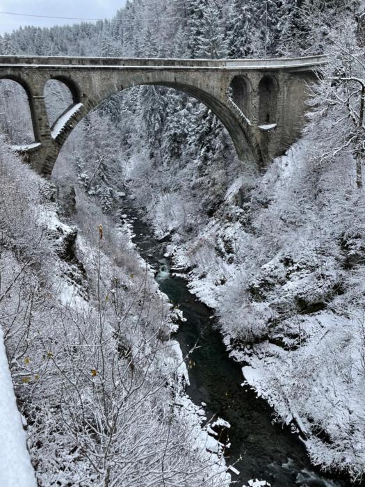 Espace Diamant - Duplex typiquement Savoyard