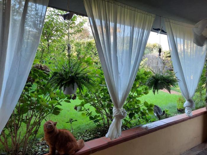 casa al mare Porto Columbu