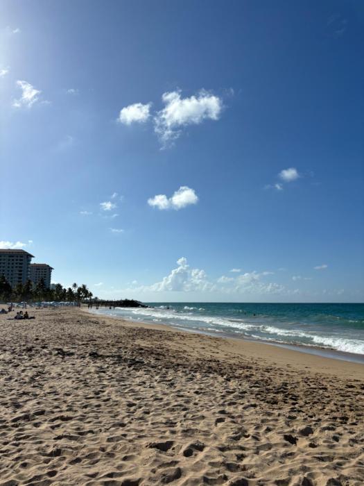 Downtown Condado Tropical Studio