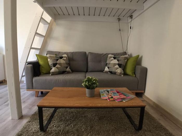 STYLISH FLAT IN PRAGUE - Vinohrady