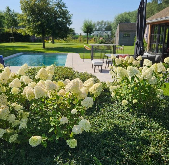 WanT Logies: Ruime loft