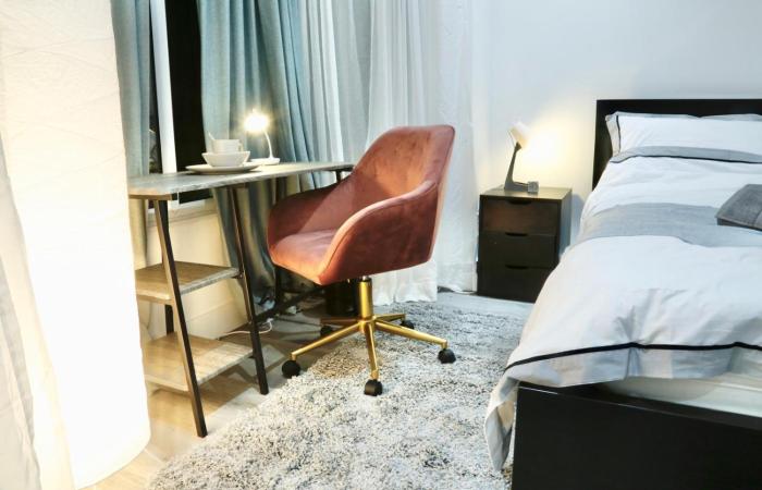 Special NW4 Studio - Professional - Own Entry