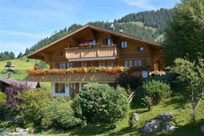 Gstaad Blue Sky Chalet