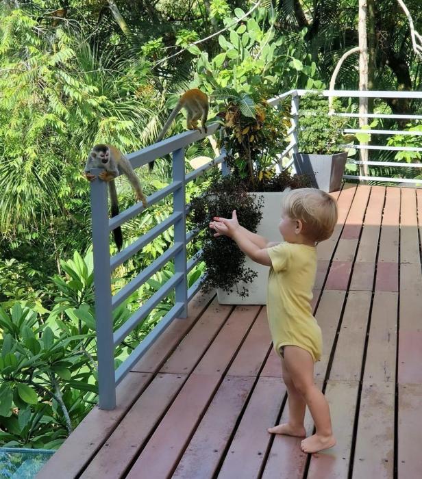 luxury contemporary jungle villa