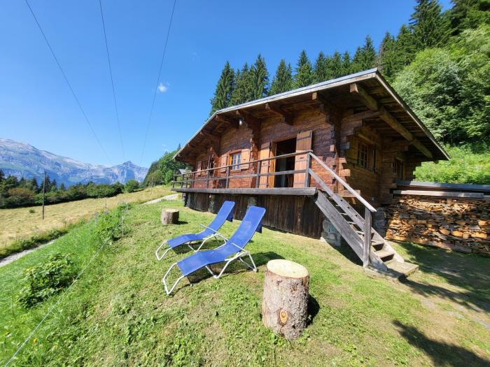 Chalet dalpage avec vue incroyable