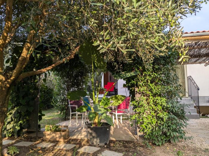 La Maison sous lolivier