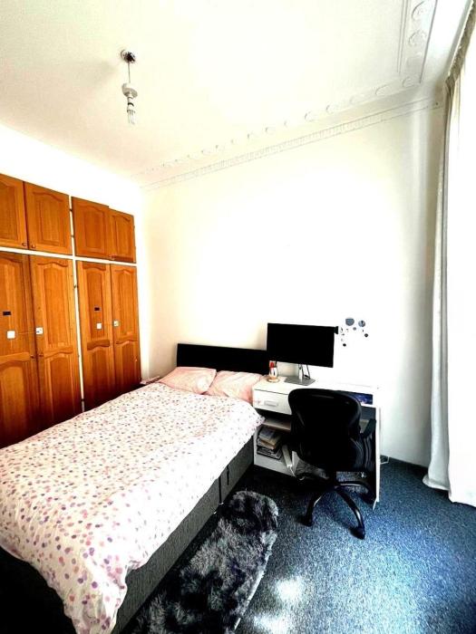Entire apartment castle view - 10 mins from reading station town centre