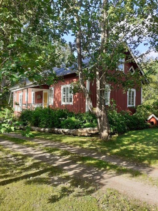 Loma tai perhejuhlat Bobackan pihatorpassa