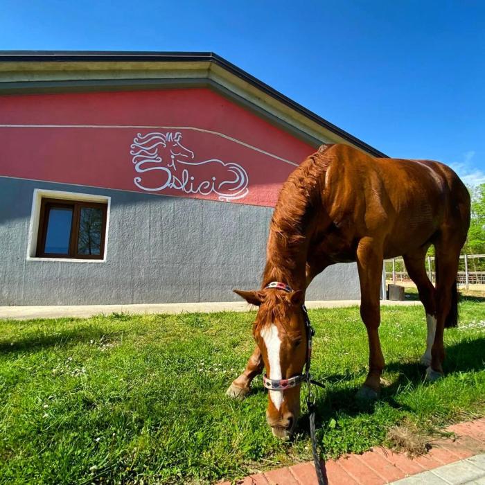 Casa Vacanze i Salici