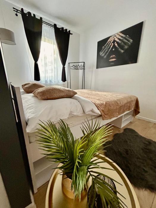 Apartamenty Zielona