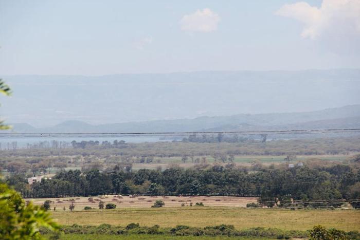 Amazing 3 bedrooms with sauna in the compound,2 bedrooms has its own entrance than the main Bedroom