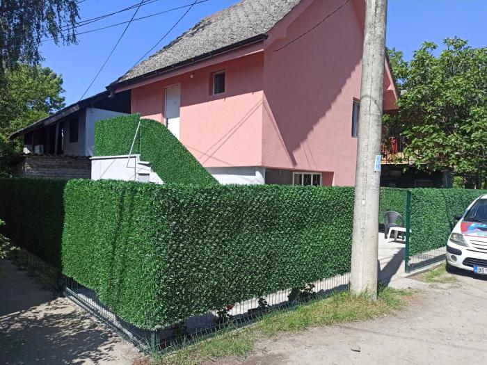 Beograd Oaza, Palilula