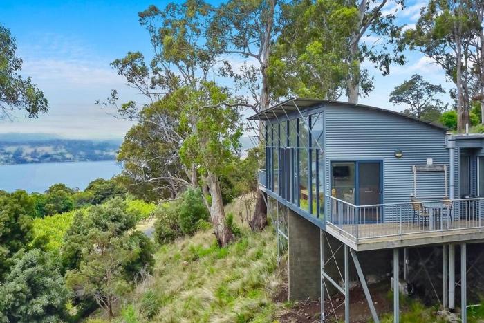 Tranquility Amongst The Trees