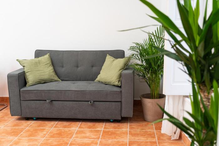Centro apartamento 2-D