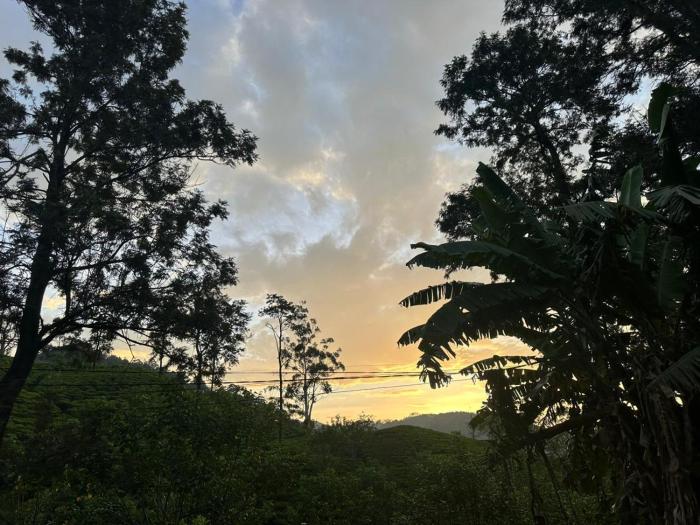 why not guest house ella