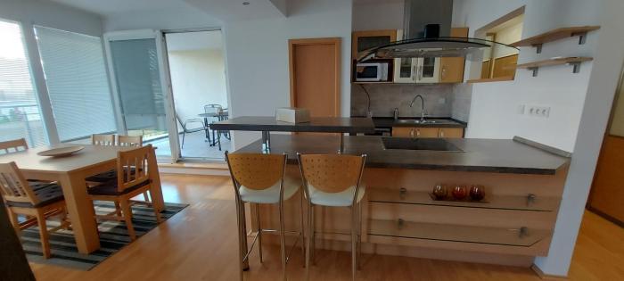 Apartmán Lodenica s terasou