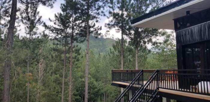 Cozy Porch Cabin with a View