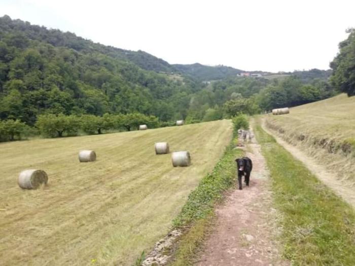 appartamento borgoletto