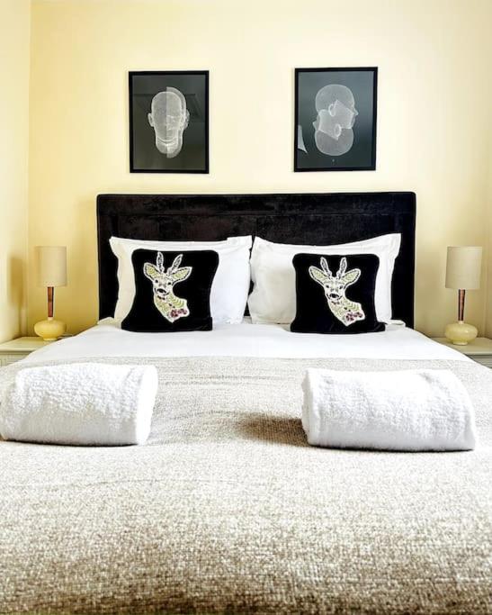 Airy central two-bed Suite